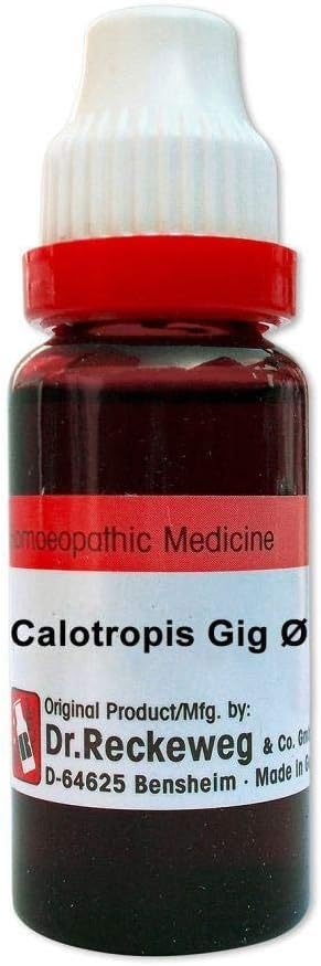 Dr. Reckeweg Calotropis Gig Mother Tincture Q - 20 ml - 1X