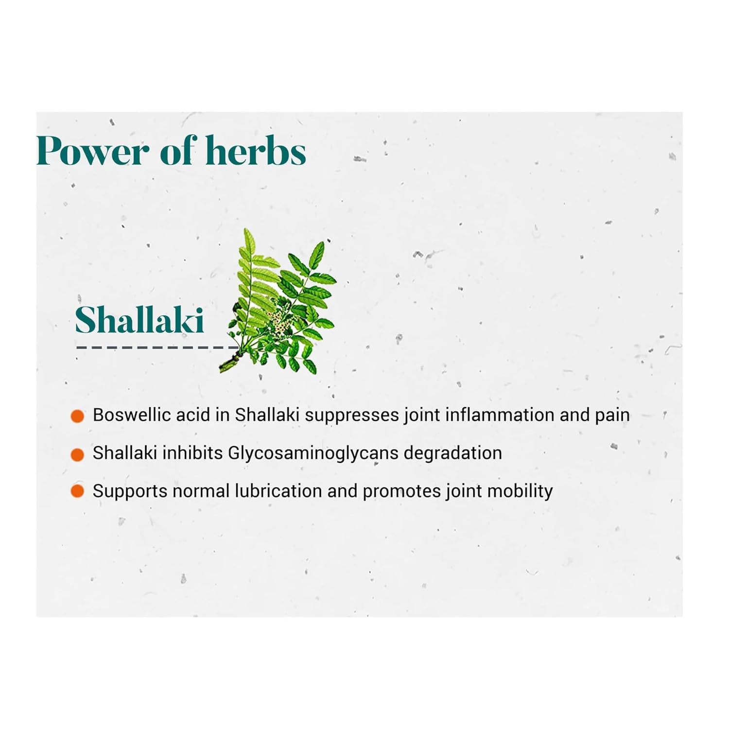Himalaya Herbals Shallaki - Pack of 1 - 60 tabs