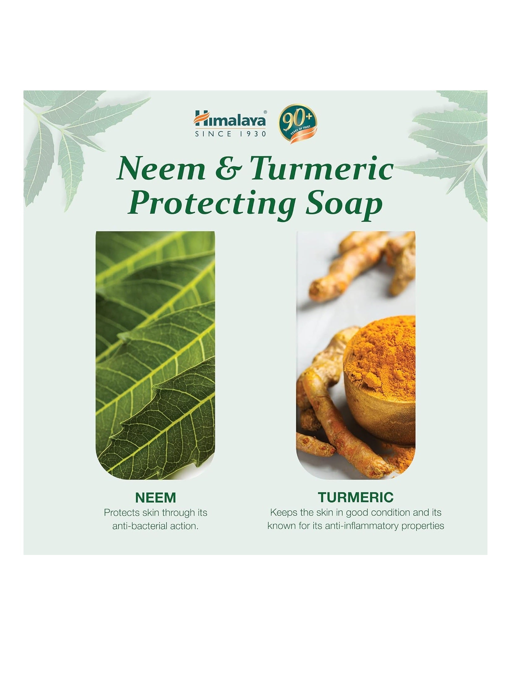 Himalaya Neem & Turmeric Soap (75g) – Antibacterial & Purifying Bar