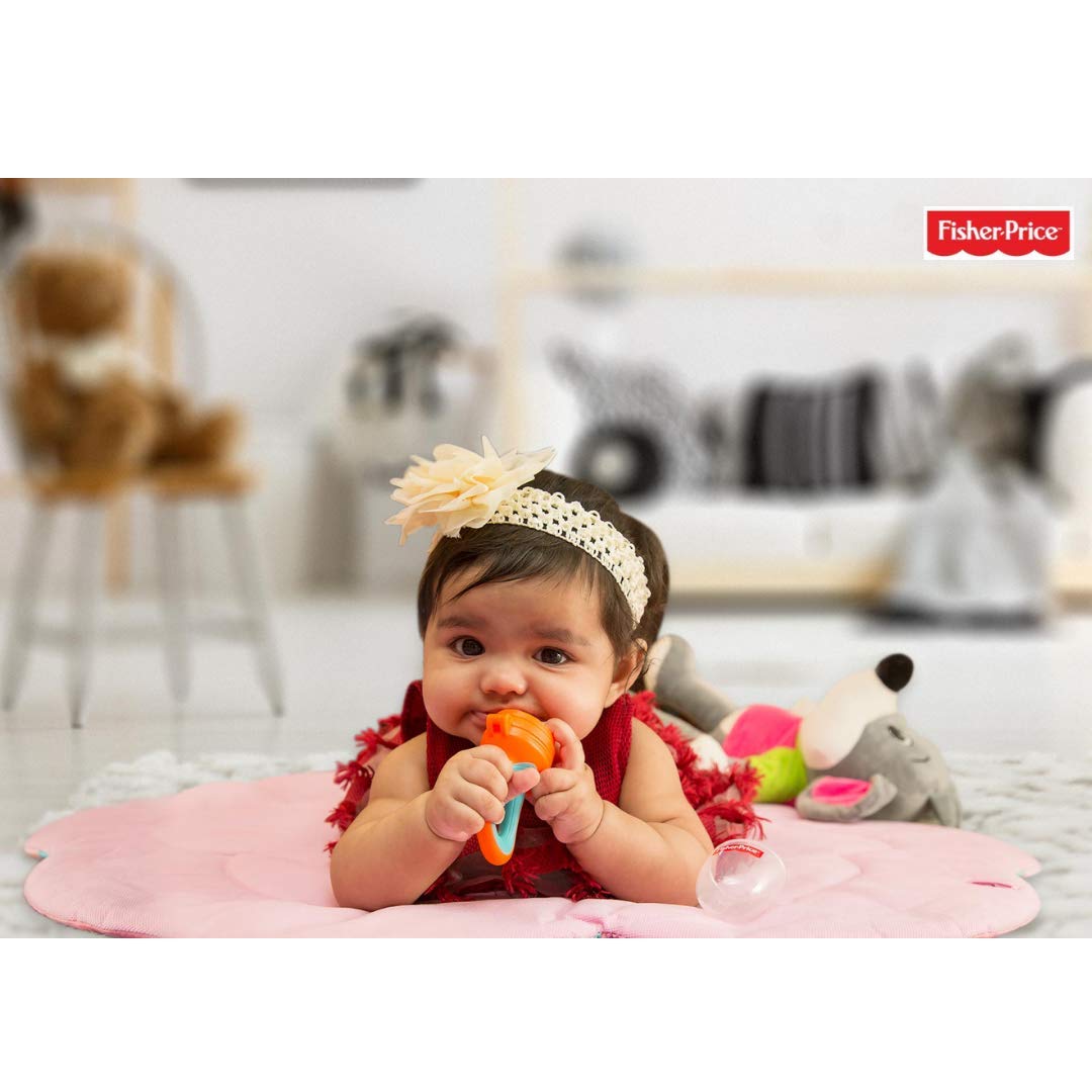 Fisher-Price Ultra Care Food Nibbler With Extra Mesh