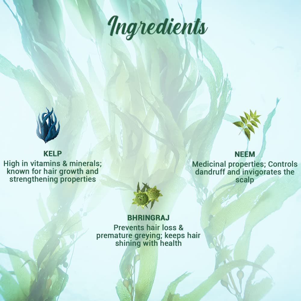 Biotique Ocean Kelp Anti Hairfall Shampoo | Intensive Hair Growth Therapy| Anti Hairfall Shampoo that Maintains Shine | 800ml