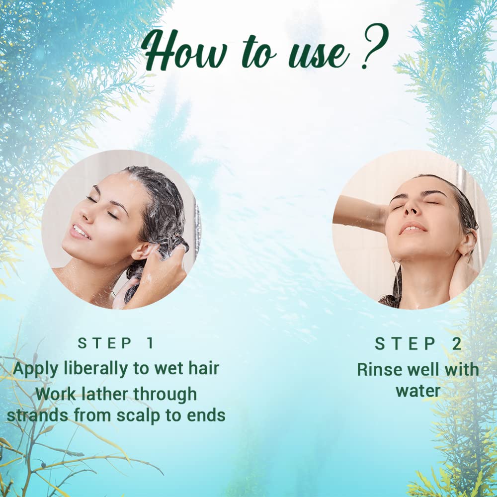 Biotique Ocean Kelp Anti Hairfall Shampoo | Intensive Hair Growth Therapy| Anti Hairfall Shampoo that Maintains Shine | 800ml