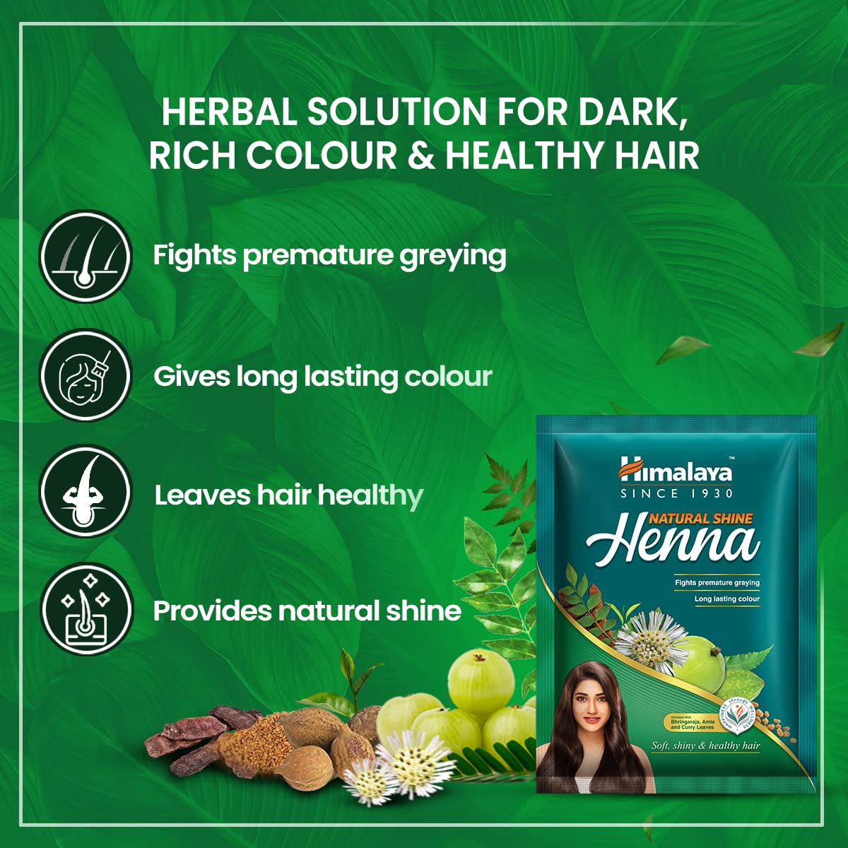 Himalaya Herbals Natural Shine Henna Powder - 50 gm