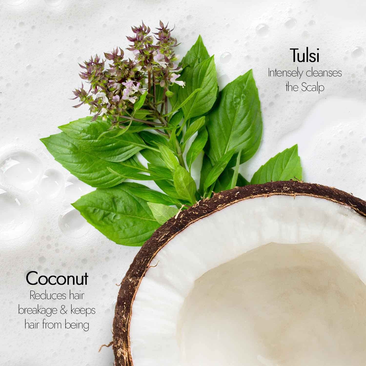 Kapiva Ayurveda Hair Rituals Tulsi Anti-Hairfall Shampoo - 250 ml
