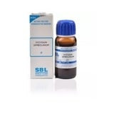 SBL Homeopathy Syzygium Jambolanum Mother Tincture Q - 30 ml