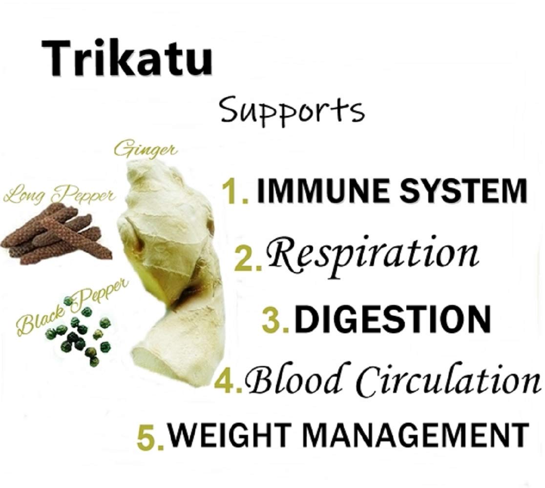 Himalaya Wellness Pure Herbs Trikatu Digestive Wellness - Pack of 1 - 60 tabs