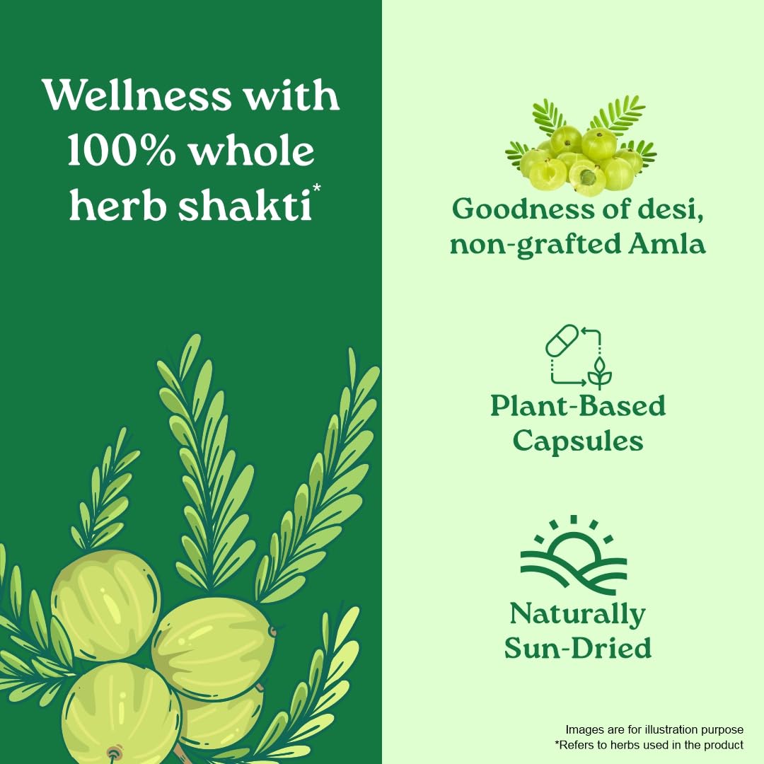 Organic India Amalaki - 60 Veg Capsules, Natural Vitamin C & Antioxidants, Boosts Immune Response, Detoxify & Rejuvenate Digestive System, Reduce Acidity, GMP & NPOP Certified Organic