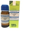 SBL Homeopathy Thuja Occidentalis Dilution - 6 CH - 30 ml