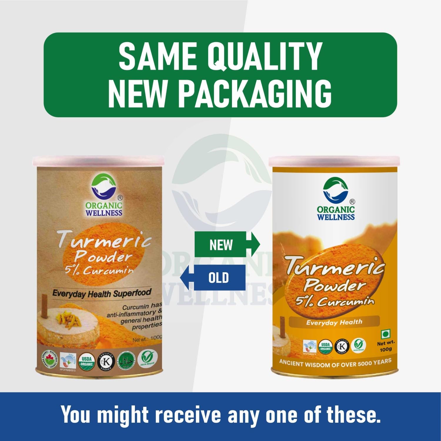 Organic Wellness Turmeric Powder | 100 Gm