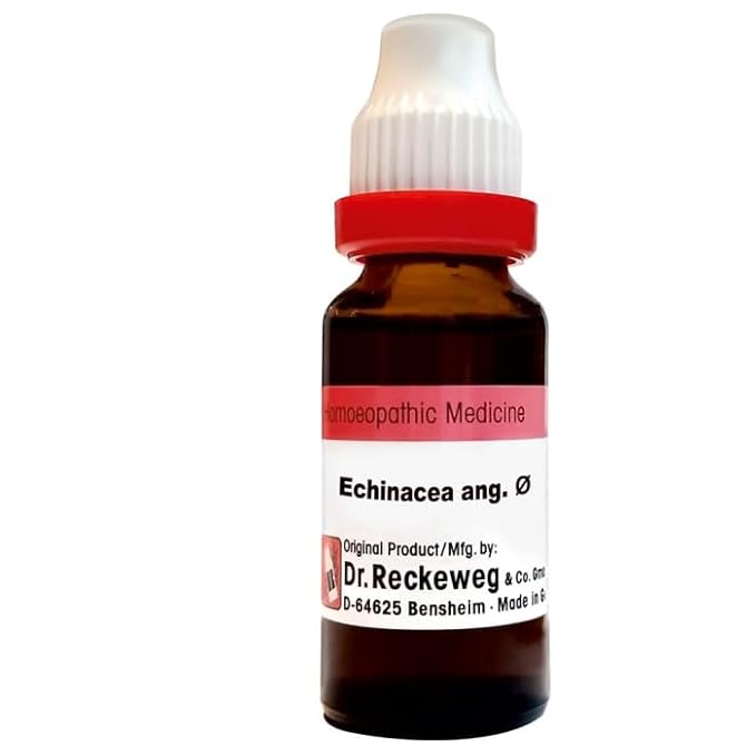 Dr. Reckeweg Echinacea Ang Mother Tincture Q - 1X - 20 ml