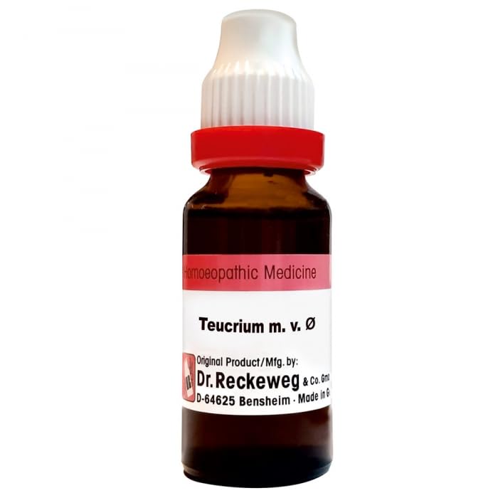 Dr. Reckeweg Teucrium Mar Mother Tincture Q - 20 ml