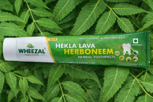 Wheezal Hekla Lava Herboneem Herbal Toothpaste - 100 gm