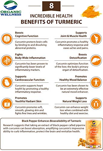 Organic Wellness Turmeric Powder | 100 Gm