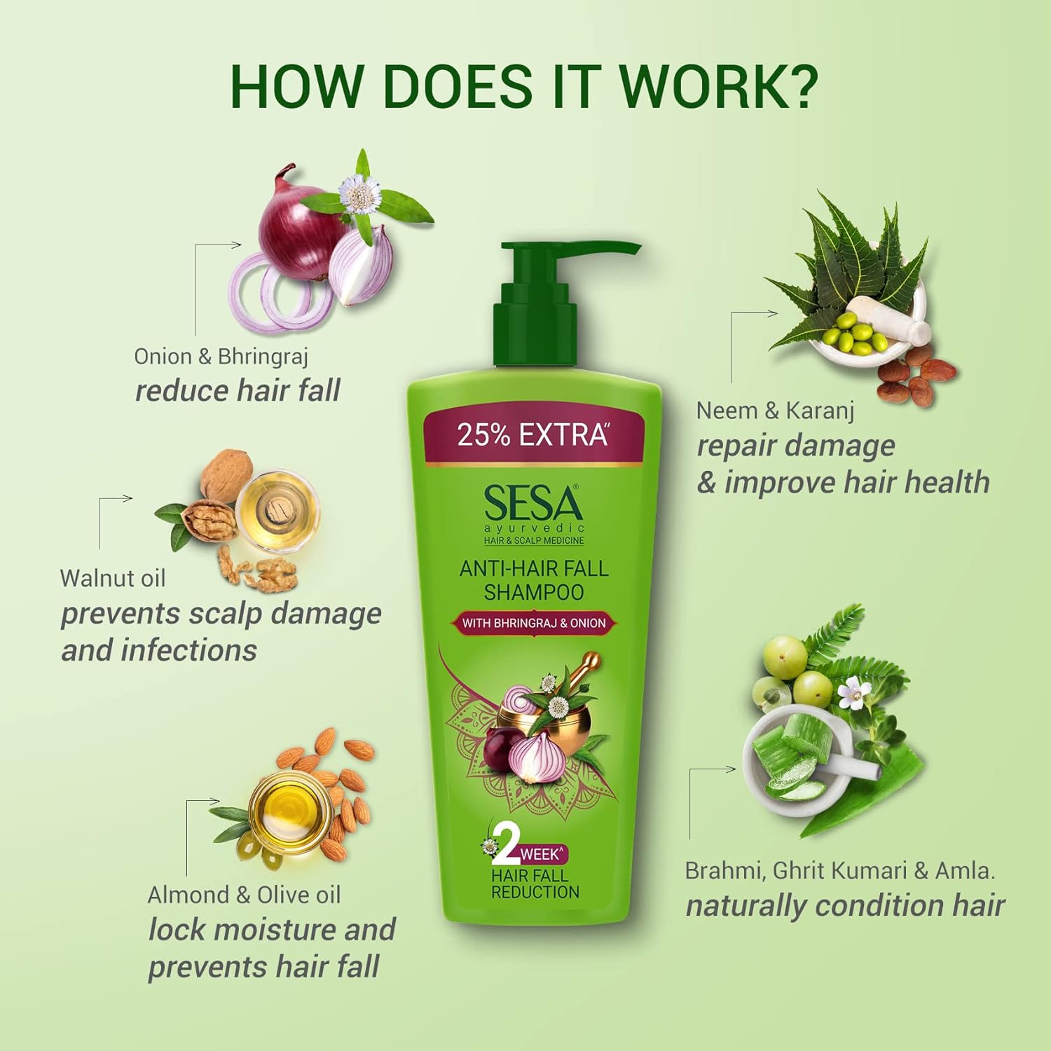 SESA Ayurvedic Anti Hairfall Shampoo  | 500 ml