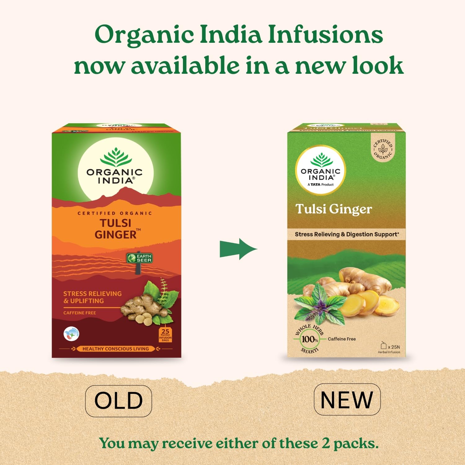 Organic India Tulsi Ginger - 25 Tea Bags