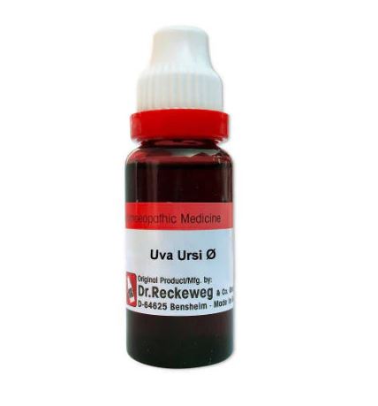 Dr. Reckeweg Uva Ursi Mother Tincture Q - 20 ml - 1X