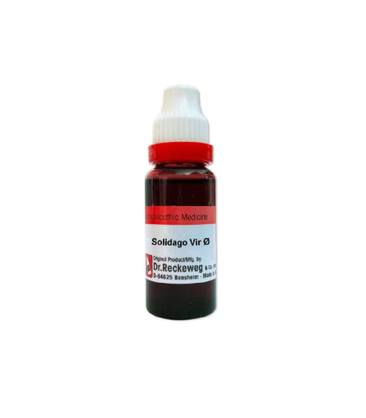 Dr. Reckeweg Solidago Vir Mother Tincture Q - 1X - 20 ml
