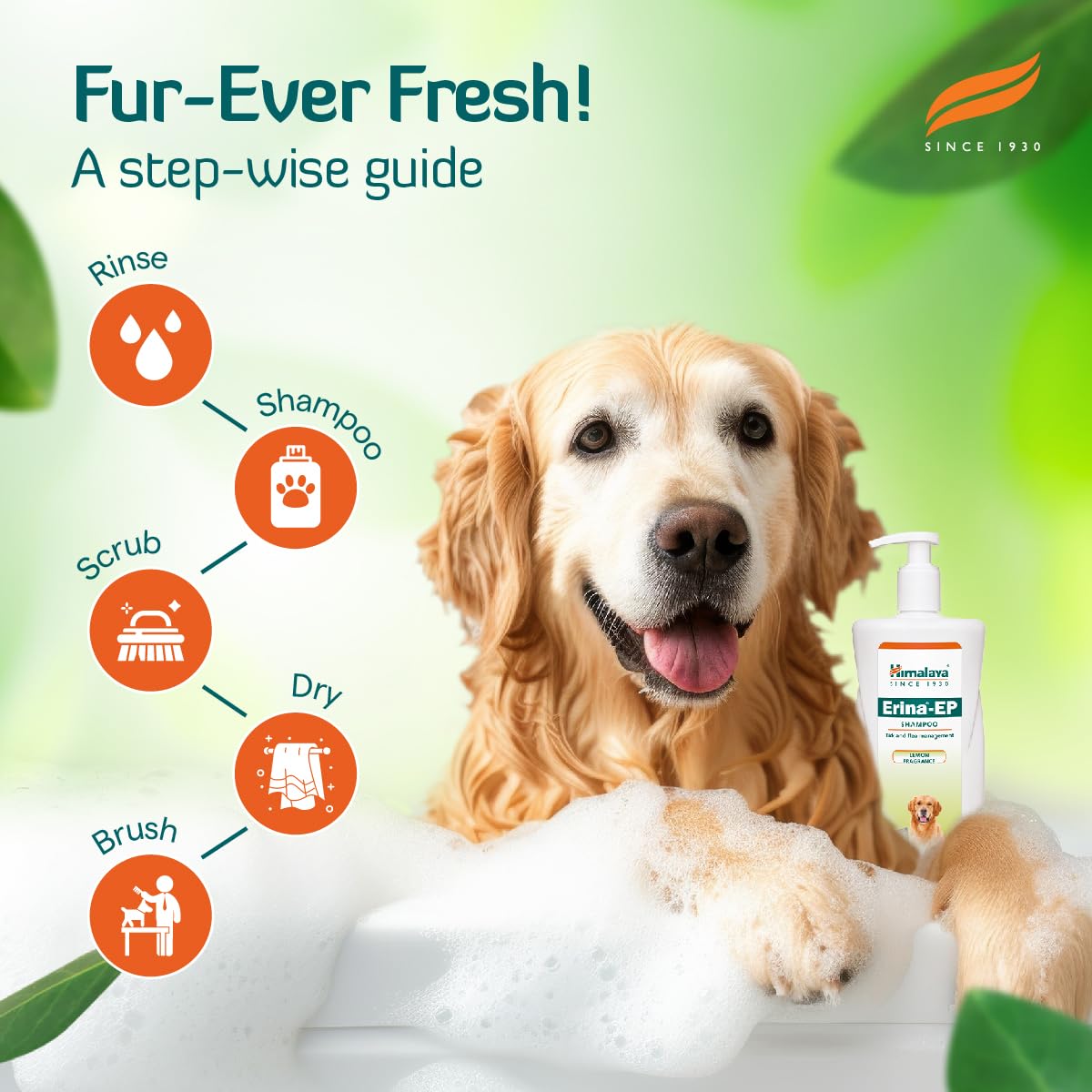 Himalaya Erina-EP Tick And Flea Control Shampoo - 200 ml
