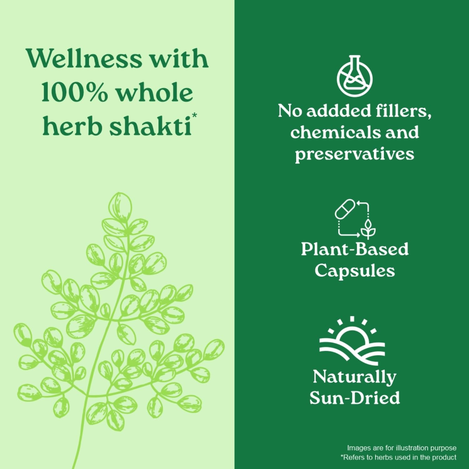 Organic India Moringa 30 Capsule | Supports Energy Levels, Stamina & Vitality