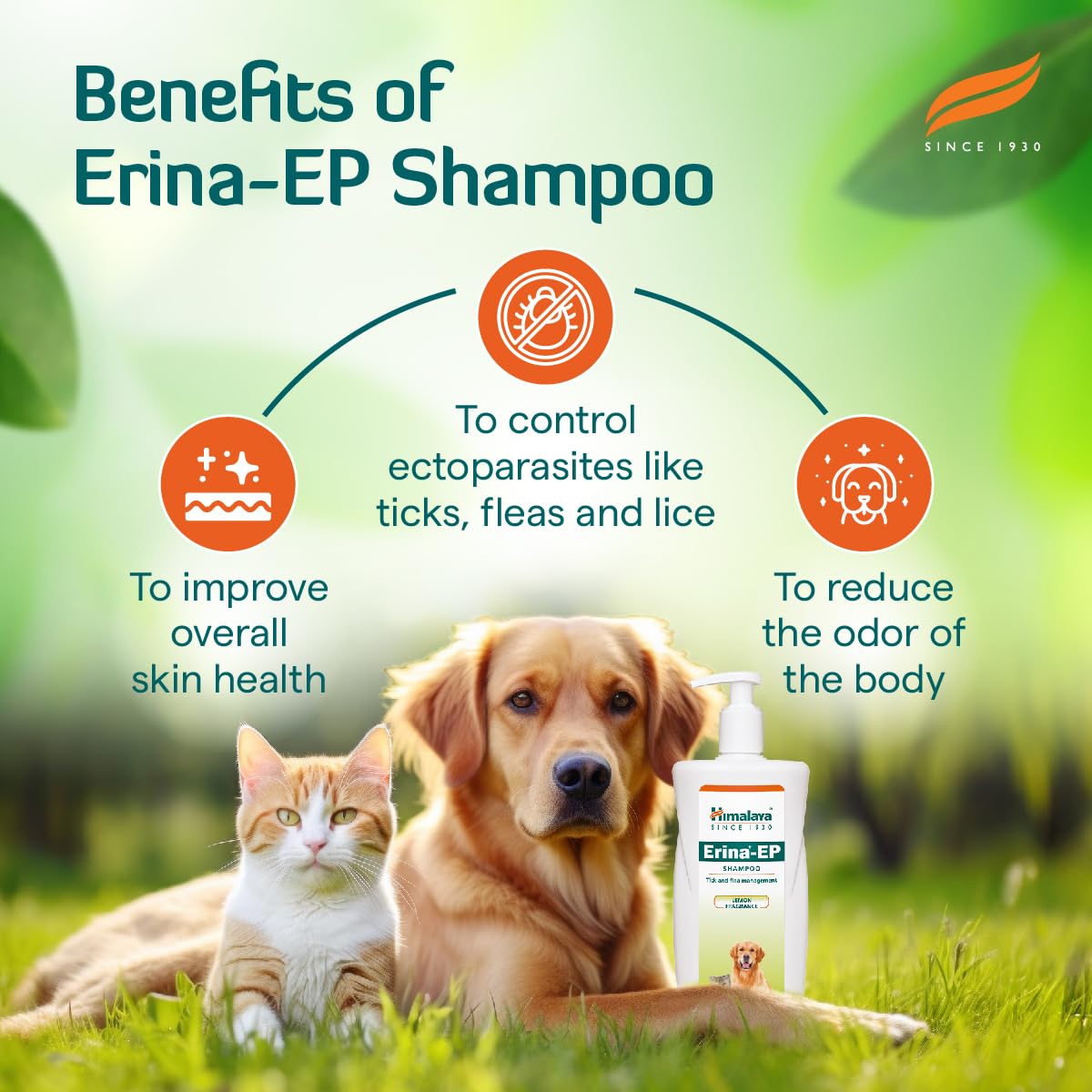 Himalaya Erina-EP Tick And Flea Control Shampoo - 200 ml