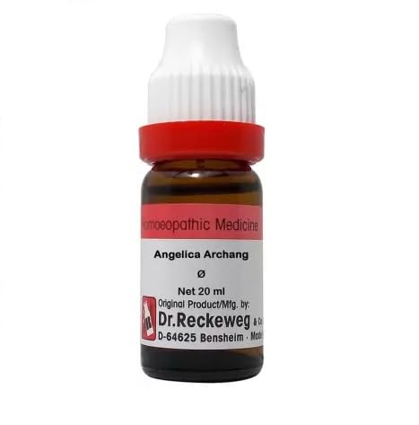 Dr. Reckeweg Angelica Archang Mother Tincture Q - 20 ml