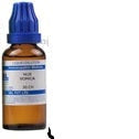 SBL Homeopathy Nux Vomica Dilution - 30 CH - 30 ml - Pack of 1