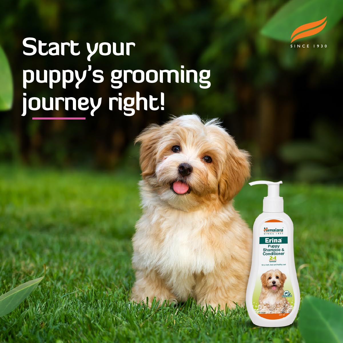 Himalaya Erina Puppy Shampoo & Conditioner - 200 ml