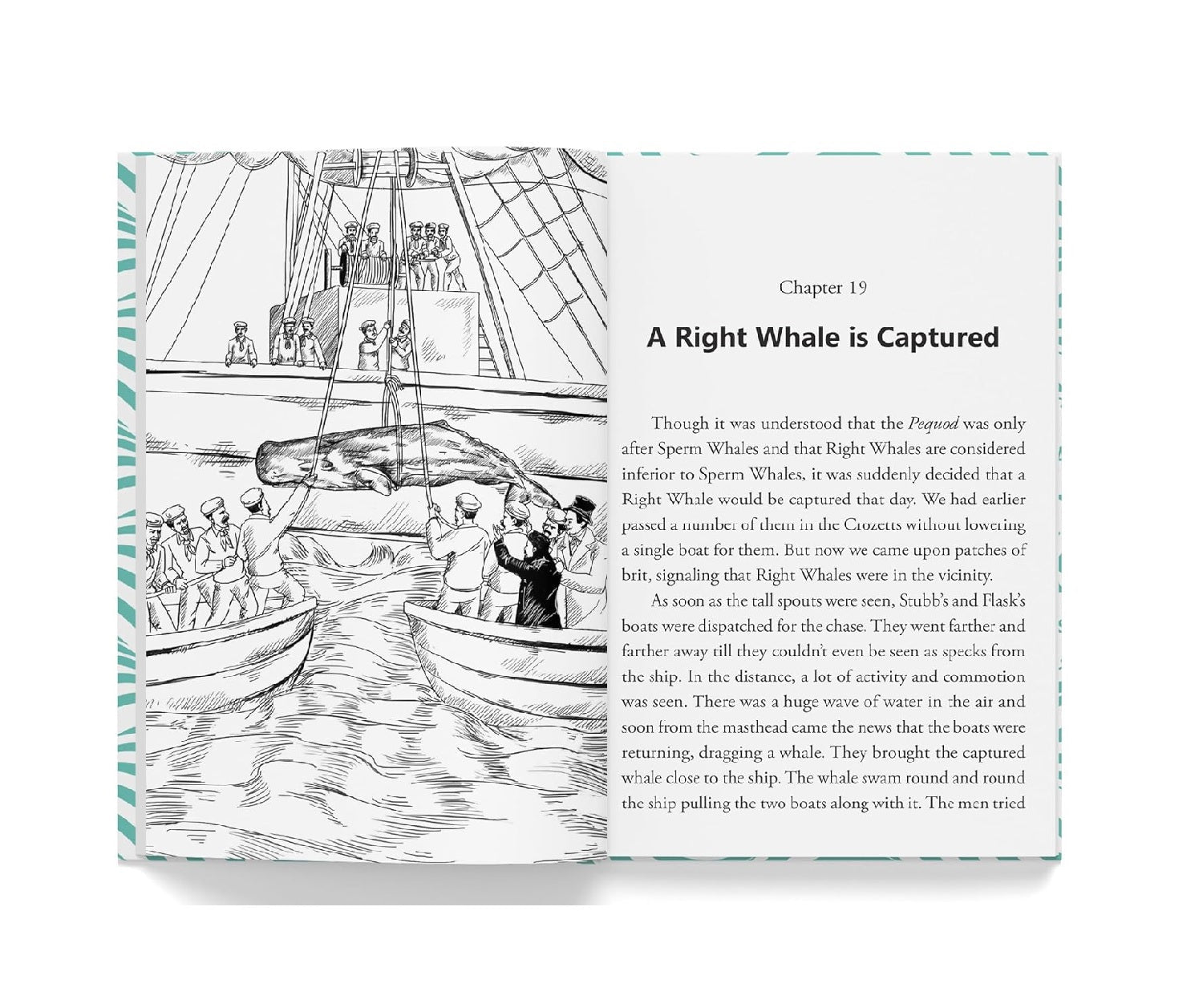 Moby Dick: Abridged Novels With Review Questions Hardcover | Hardcover