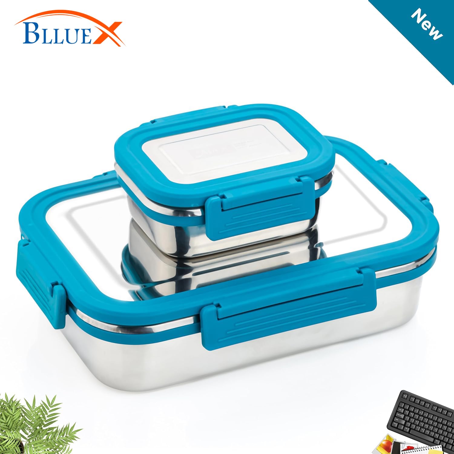 Stainless Steel Lunch Box | Tiffin Box for School and Work| Lunch Box with Clip Lock Lid | Multicolour