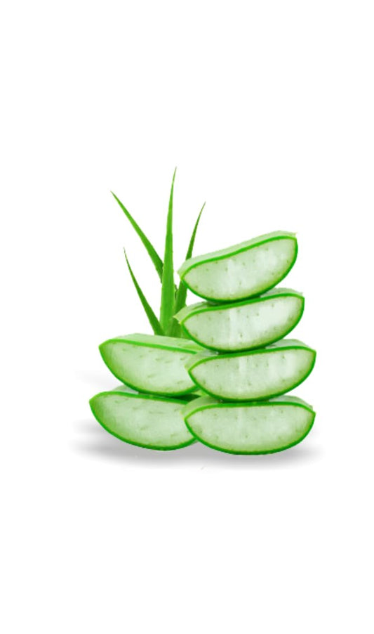 Ayur Herbals Skin Toner Lotion with Aloe Vera | 500 ml