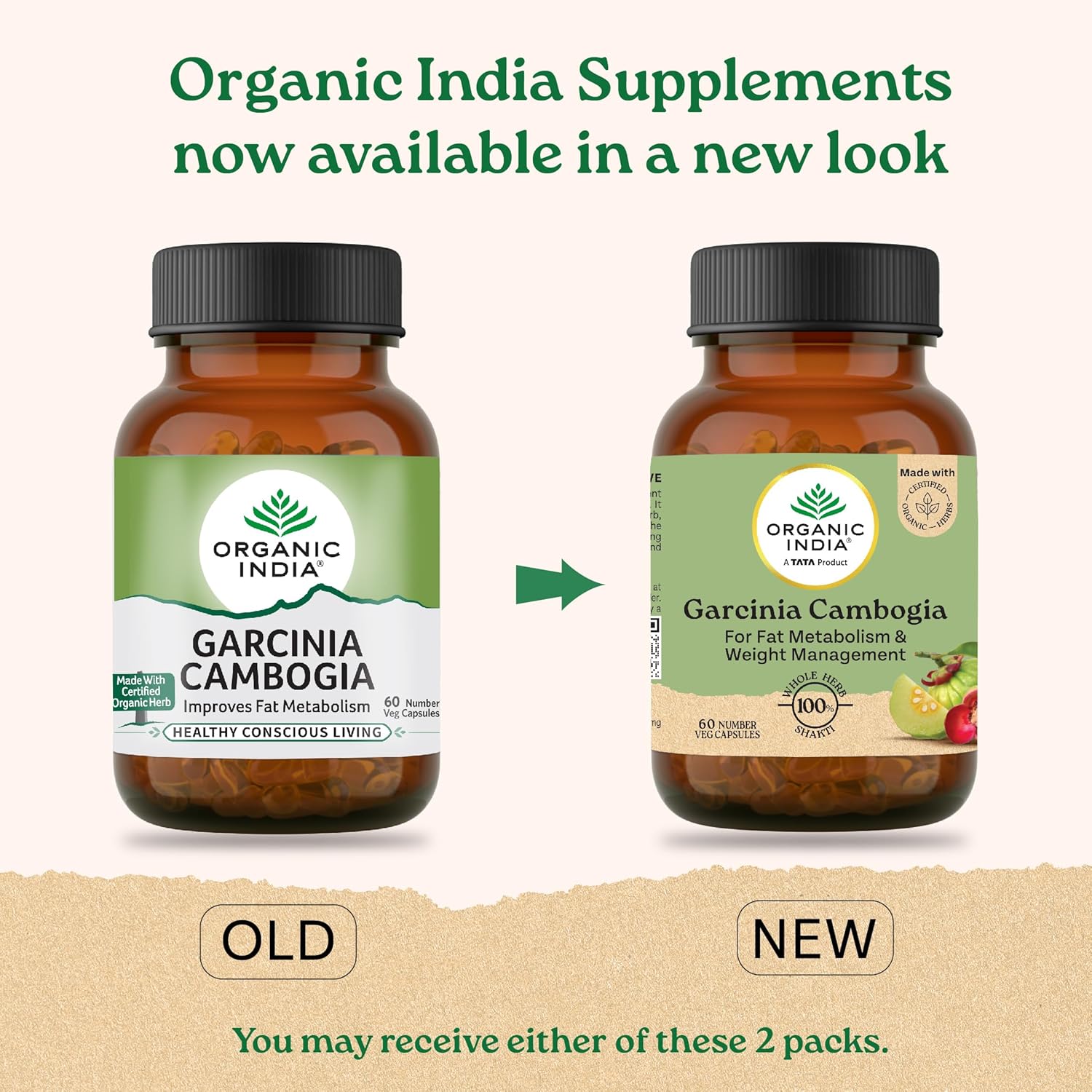 Organic India Garcinia Cambogia - 60 Veg Capsules, Improves Fat Metabolism, Lean Muscle Development, Boosts Energy, Enhances Immunity, & Helps Weight Management, GMP & NPOP Certified