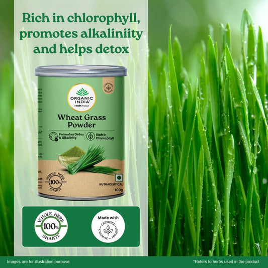 Organic India Wheat Grass Powder | Supports Energy & Immunity | 100 gm