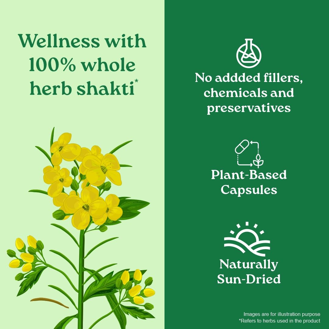 Organic India Gokshura Capsules - 60 caps