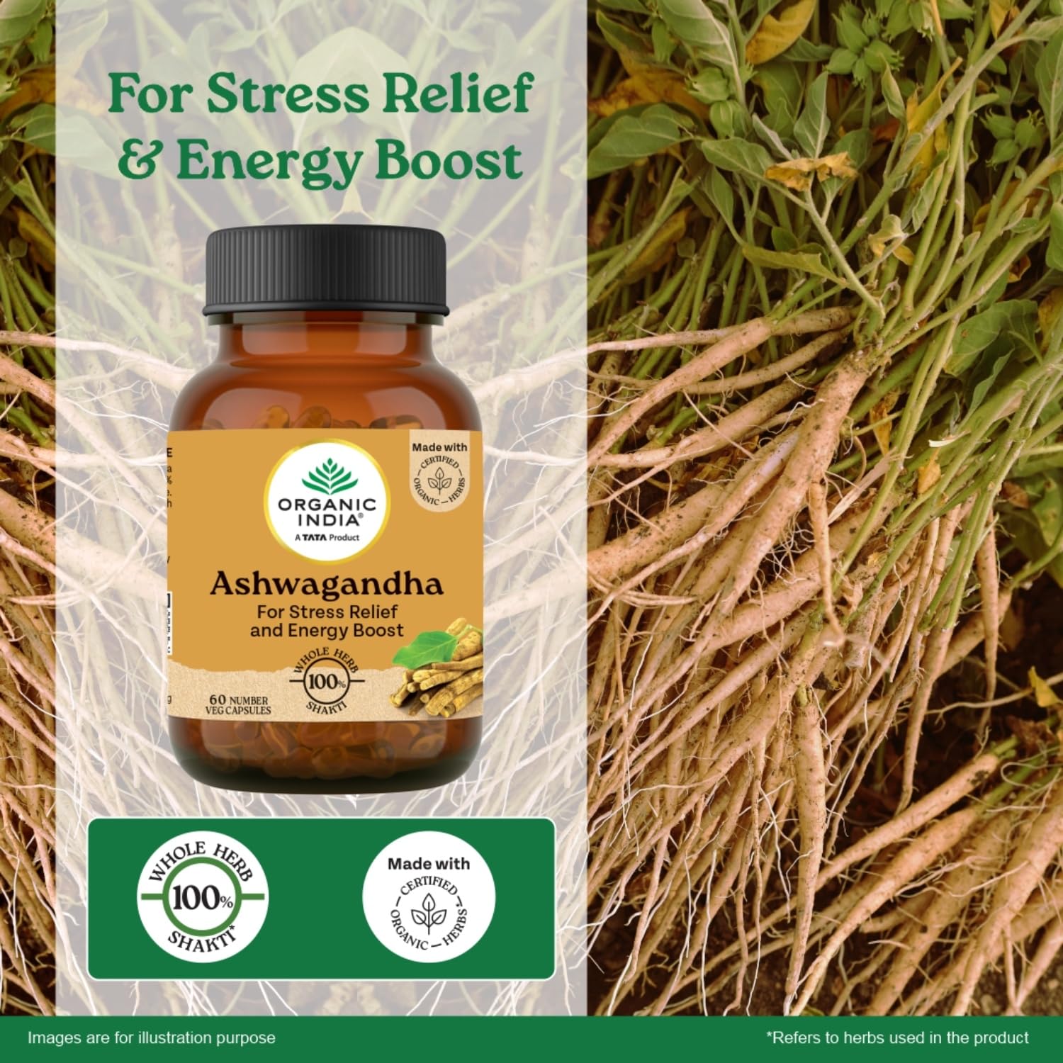 ORGANIC INDIA A TATA Product - Ashwagandha Capsules - 60 Veg Caps, For Vitality & Relieves Stress, Naturally Boosts Energy & Stamina, Improves Immune System, GmP & NPOP Certified Organic