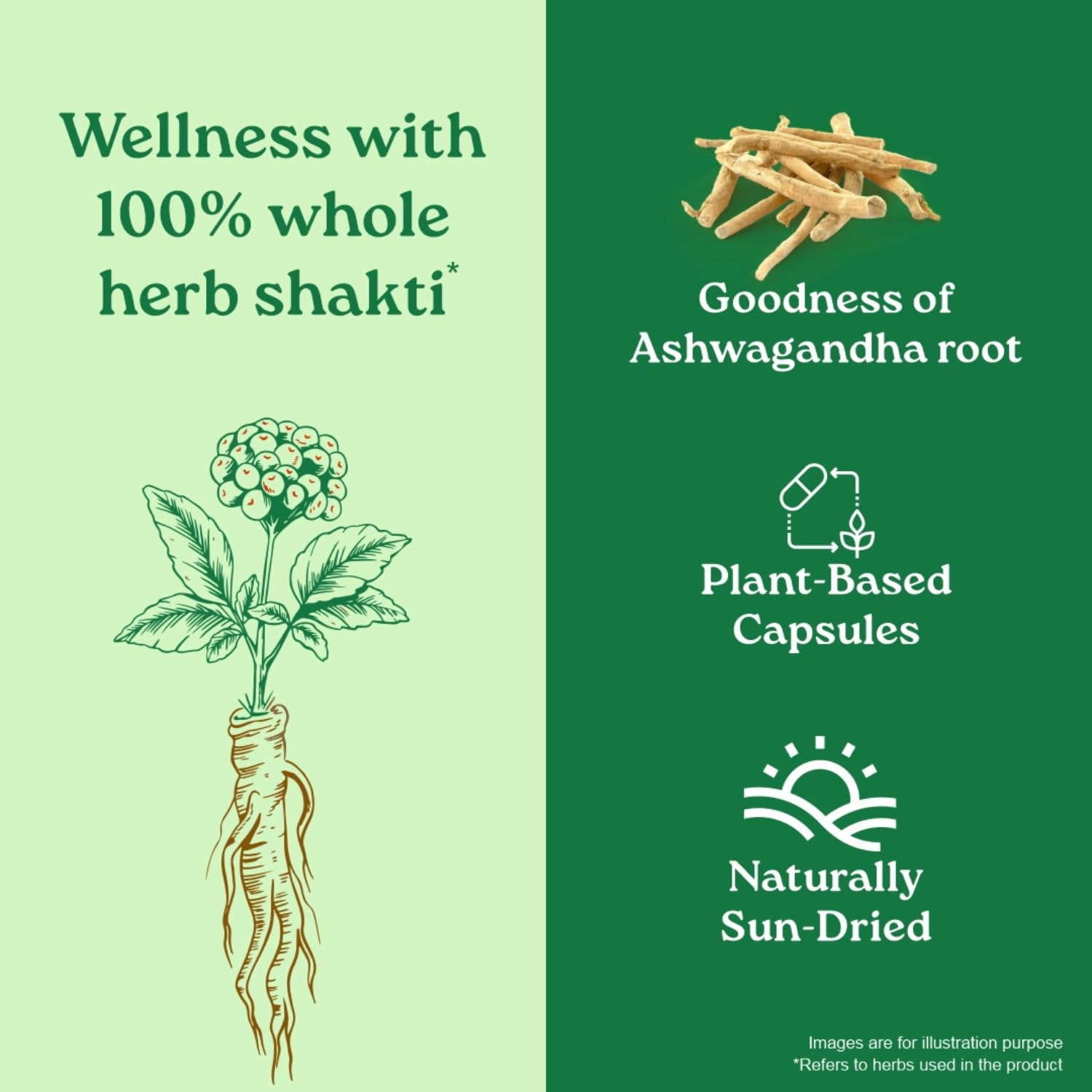 ORGANIC INDIA A TATA Product - Ashwagandha Capsules - 60 Veg Caps, For Vitality & Relieves Stress, Naturally Boosts Energy & Stamina, Improves Immune System, GmP & NPOP Certified Organic