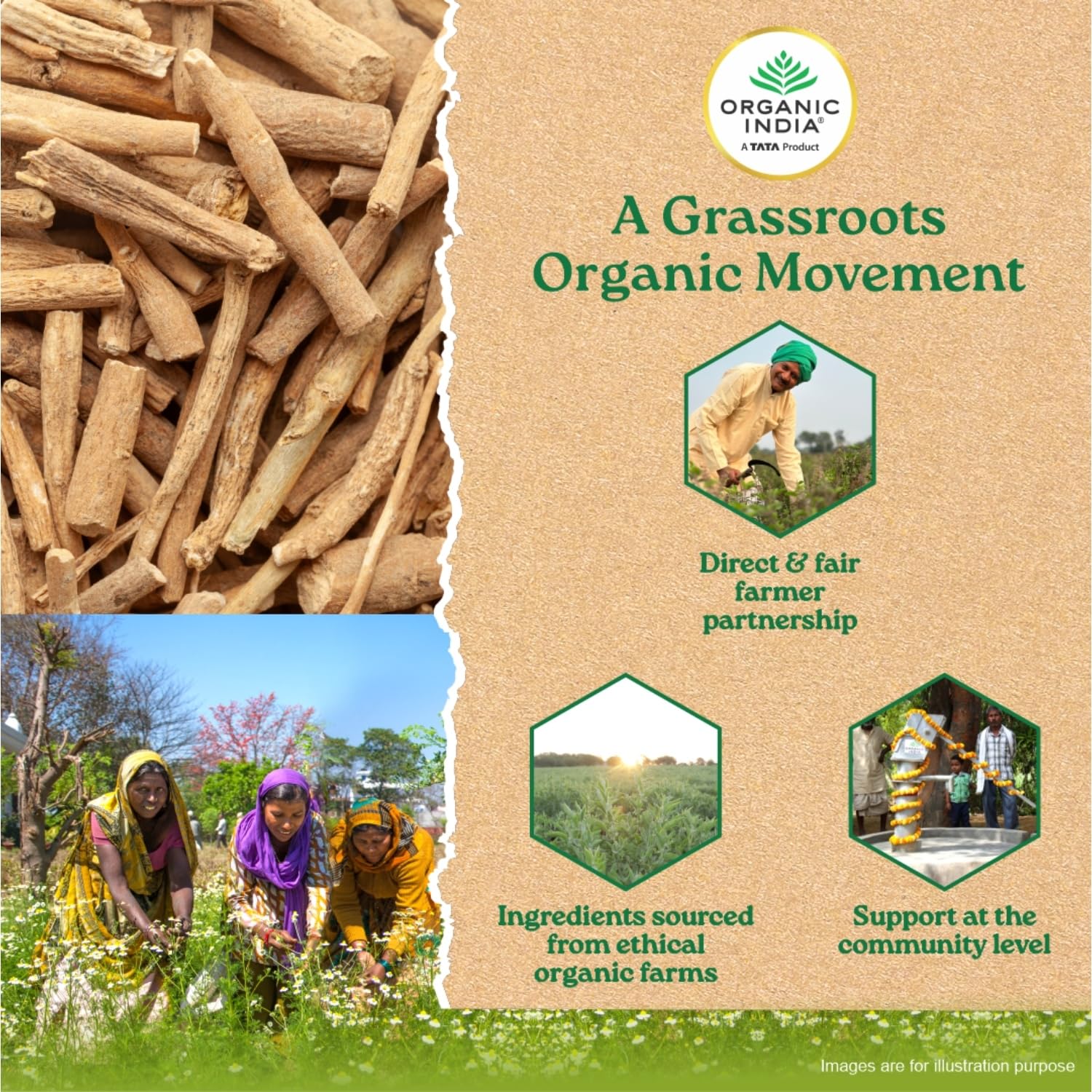 ORGANIC INDIA A TATA Product - Ashwagandha Capsules - 60 Veg Caps, For Vitality & Relieves Stress, Naturally Boosts Energy & Stamina, Improves Immune System, GmP & NPOP Certified Organic