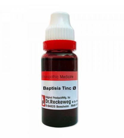 Dr. Reckeweg Baptisia Tinc Mother Tincture Q - 20 ml - 1X