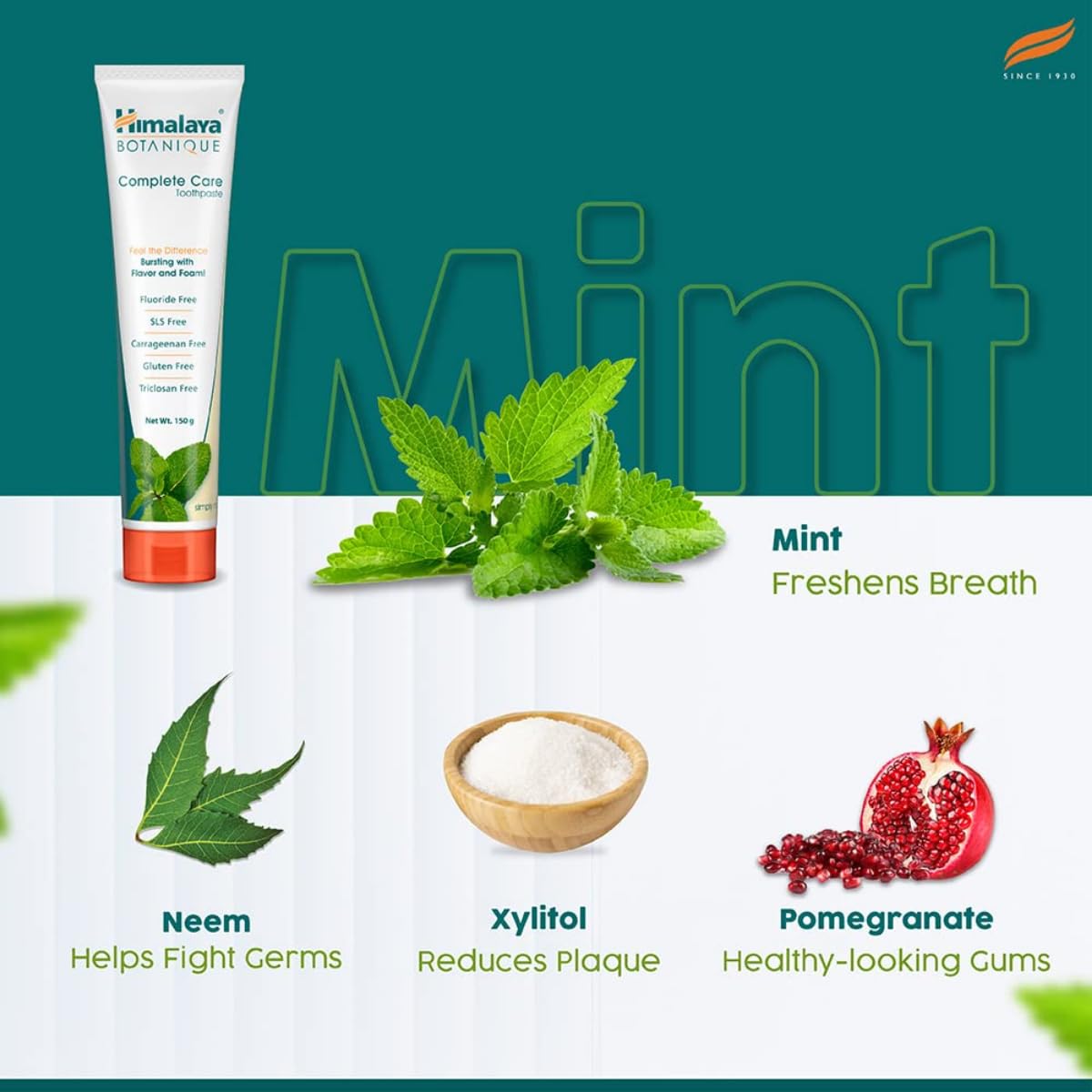 Himalaya Botanique Complete Care Toothpaste (Simply Mint) - 150 gm