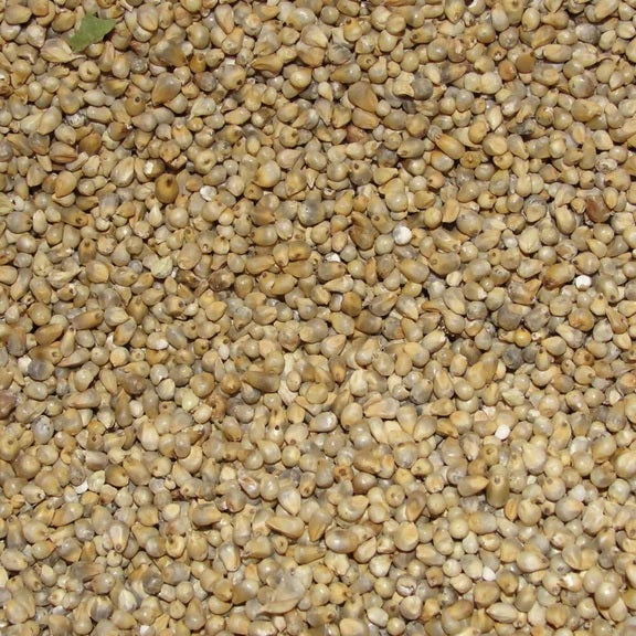 Freshon Pearl Millet - Natural - 1 kg