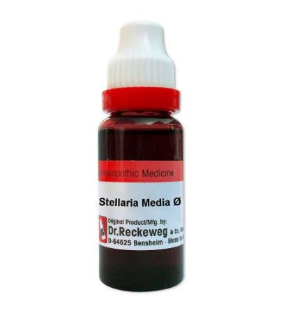 Dr. Reckeweg Stellaria Media Mother Tincture Q - 20 ml - 1X