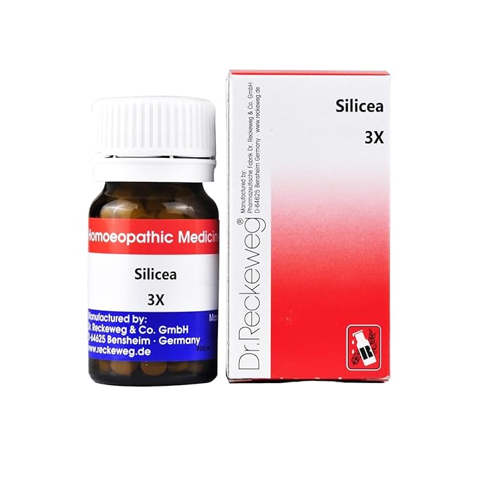 Dr. Reckeweg Silicea Biochemic Tablets - 20 gm - 3X