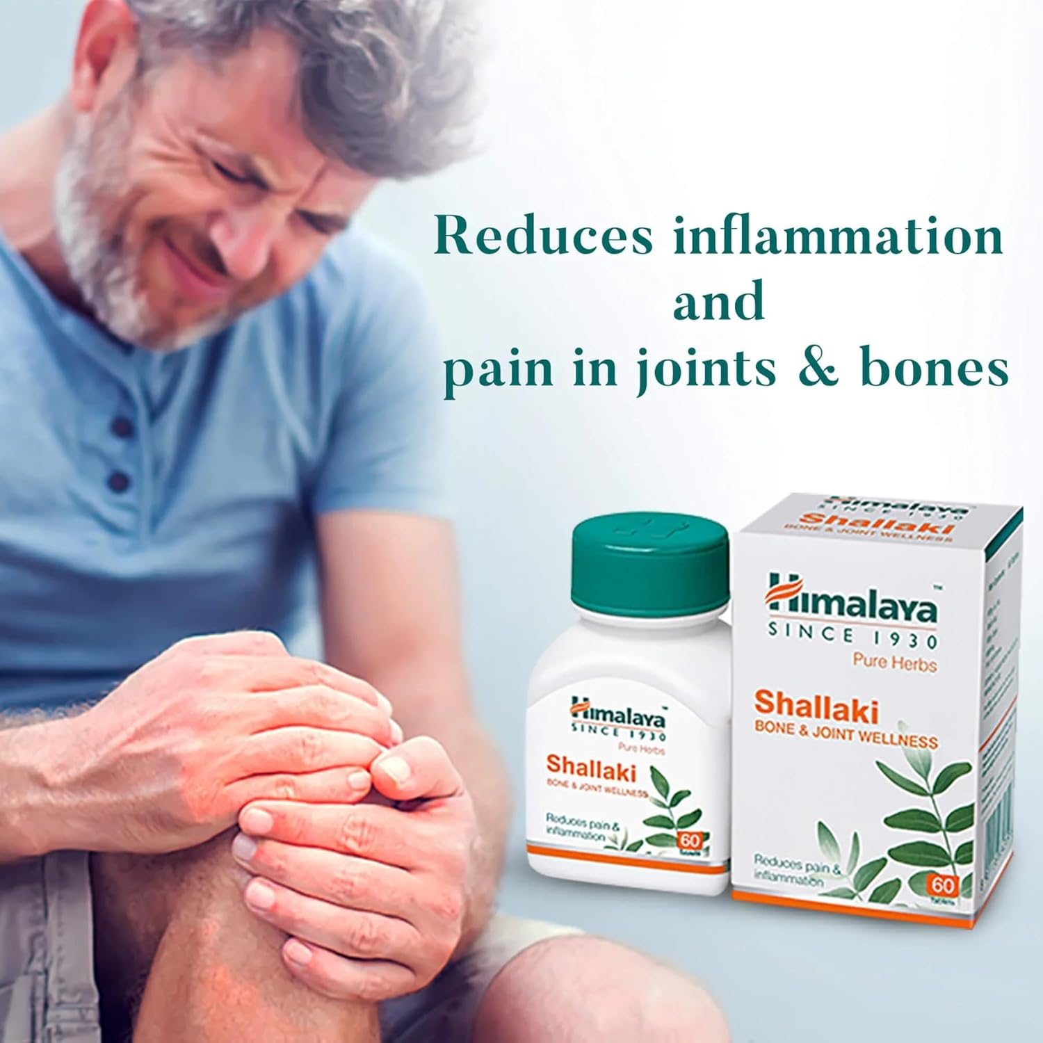 Himalaya Herbals Wellness Shallaki Tablets - 60 tabs