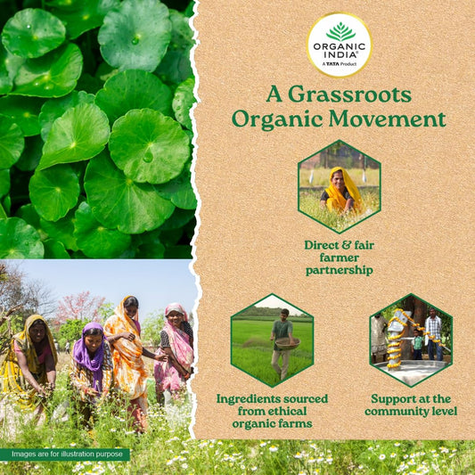 A TATA Product - Organic India Brahmi - 60 Veg Capsules, Naturally Promotes Concentration & Memory, Mental Fitness, Reduces Stress & Anxiety