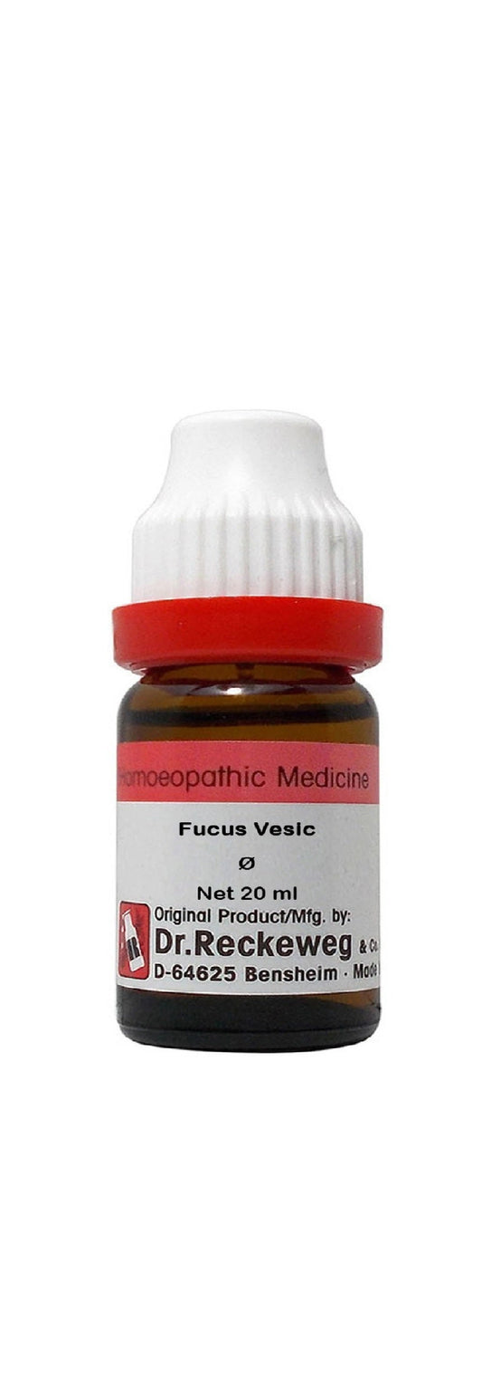 Dr. Reckeweg Fucus Ves Mother Tincture Q - 1X - 20 ml