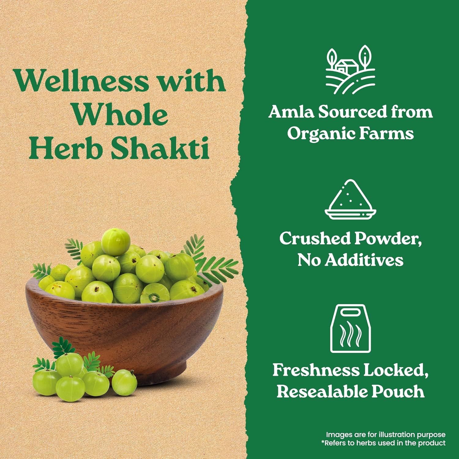 Organic India Amla Powder | 200g