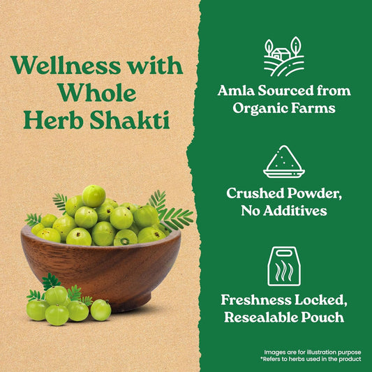 Organic India Amla Powder | 200g