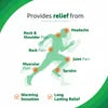 Iodex Fast Relief Balm, 8 gm