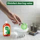 Dettol Antiseptic Liquid, 250 ml