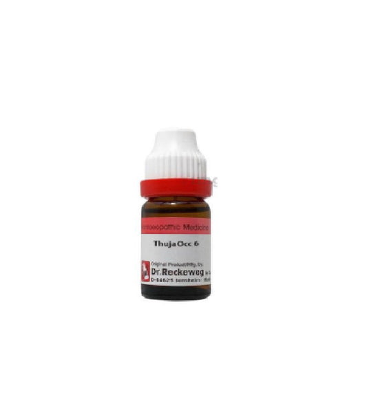 Dr. Reckeweg Thuja Occ Dilution - 6 CH - 11 ml