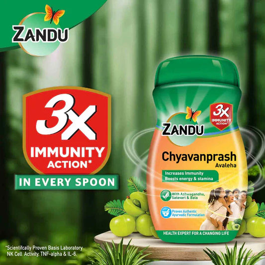 Zandu Chyavanprash Avaleha - 455 gm